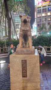 d4de6-img-20141015-wa0012