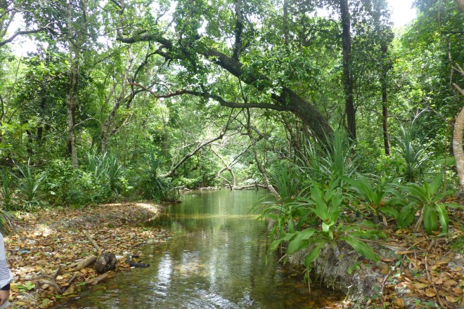 Laguna di Pulau Peucang