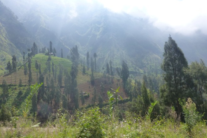 Pemandangan sepanjang jalan dari penginapan