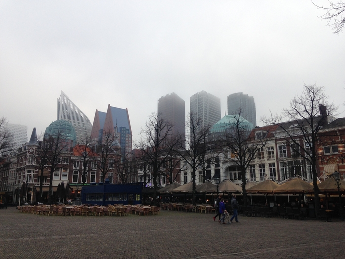 Webp.net-resizeimage-10