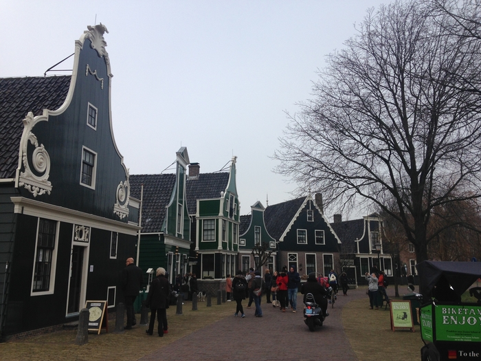 Webp.net-resizeimage-14