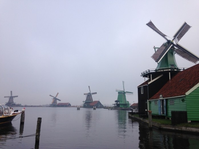 Webp.net-resizeimage-15