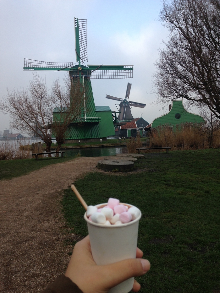 Webp.net-resizeimage-17