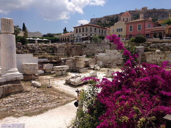 Webp.net-resizeimage-26