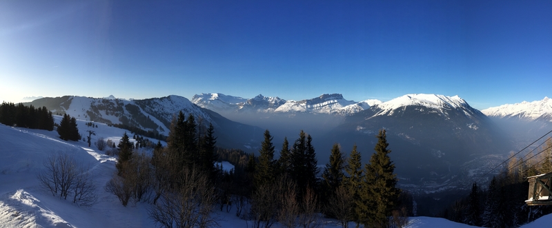 Webp.net-resizeimage-10