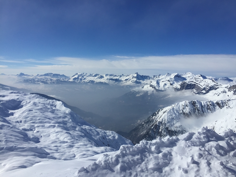 Webp.net-resizeimage-3