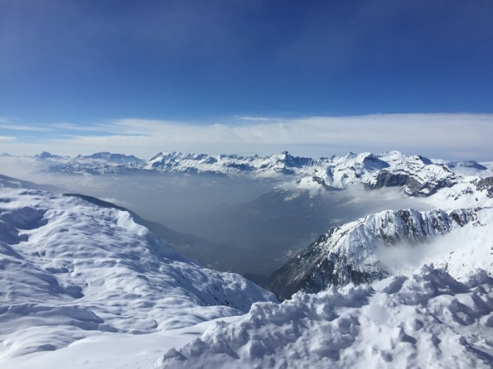 Webp.net-resizeimage-3