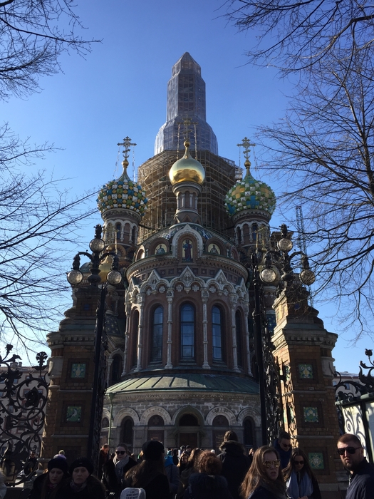 webp.net-resizeimage-10