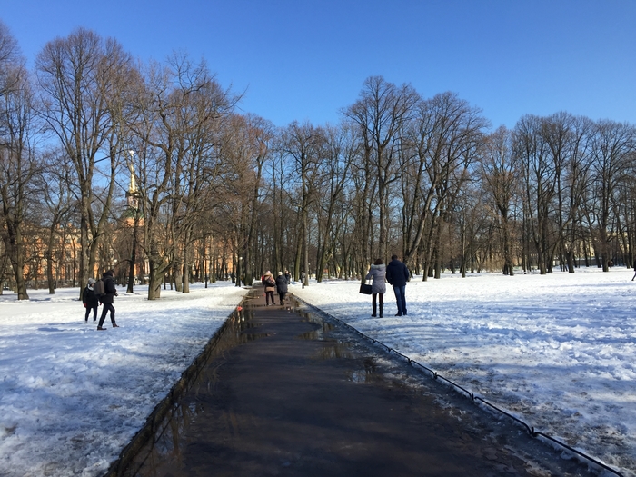 webp.net-resizeimage-6