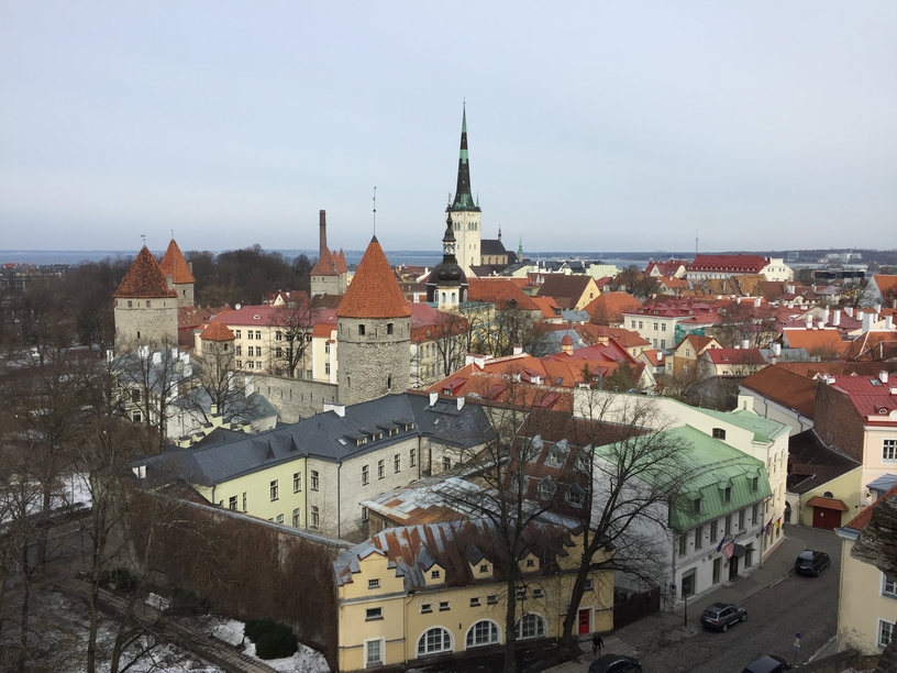 Webp.net-resizeimage-8