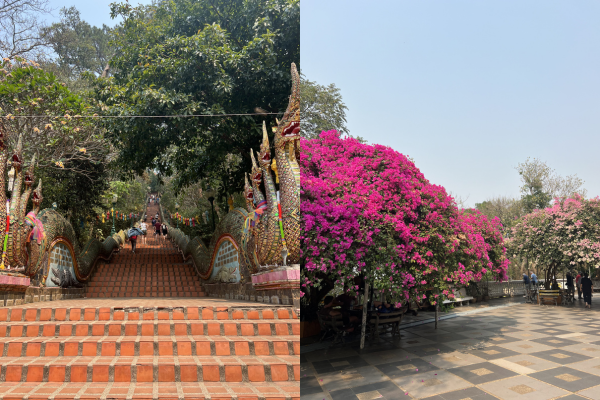 Doi Suthep